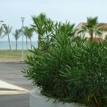 Marea