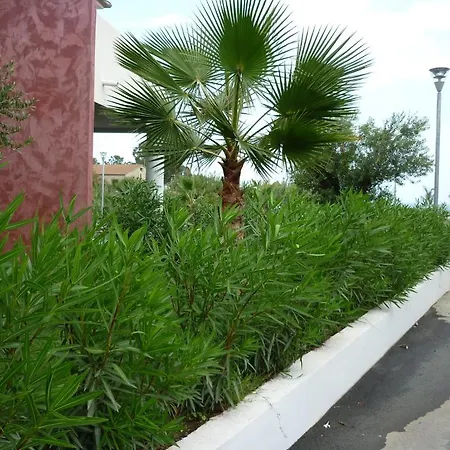 База отдыха Residence Marea Resort *