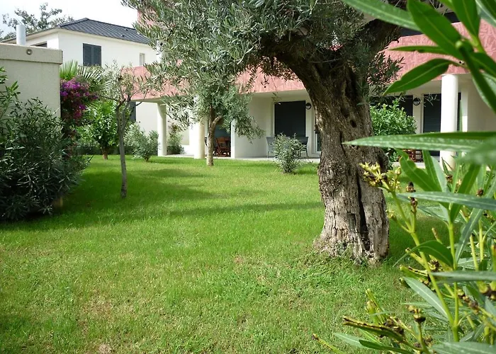 Marea * サンタ・ルシア・ディ・モリアニ